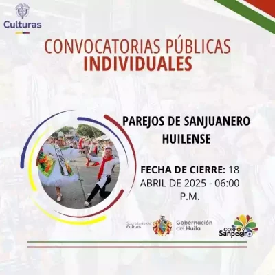 Convocatoria publica Individuales
