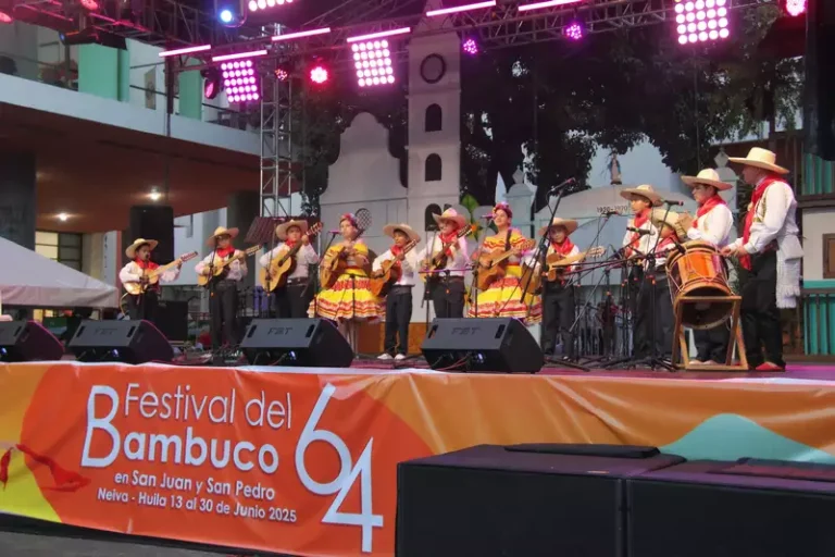 Encuentro Dptal de Rajaleña y Bambuco Infantil (17)