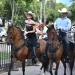 imagen cabalgata 1